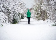 圣诞节期间，地图变成蓝色，圣诞节降雪结果揭晓